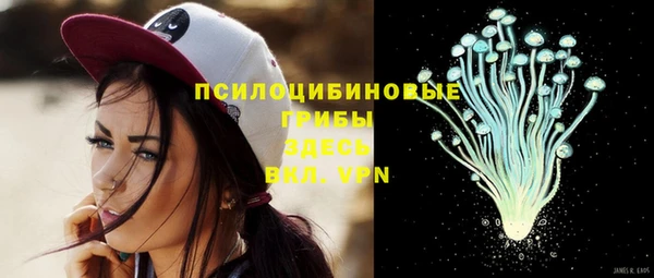 ПСИЛОЦИБИНОВЫЕ ГРИБЫ Осинники