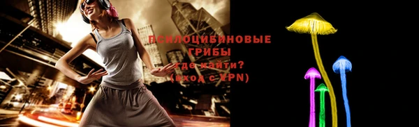 ПСИЛОЦИБИНОВЫЕ ГРИБЫ Осинники