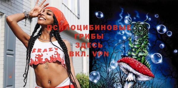 ПСИЛОЦИБИНОВЫЕ ГРИБЫ Осинники