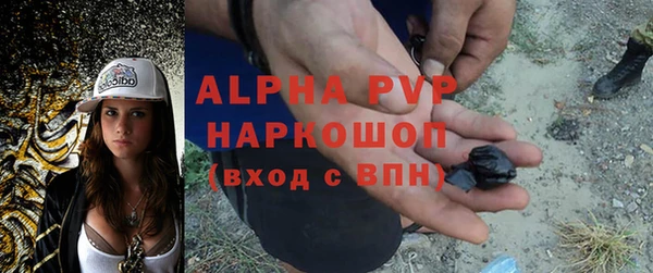 ПСИЛОЦИБИНОВЫЕ ГРИБЫ Осинники