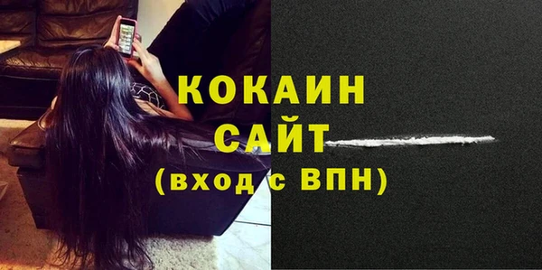 ПСИЛОЦИБИНОВЫЕ ГРИБЫ Осинники