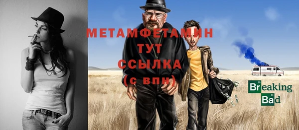 ПСИЛОЦИБИНОВЫЕ ГРИБЫ Осинники
