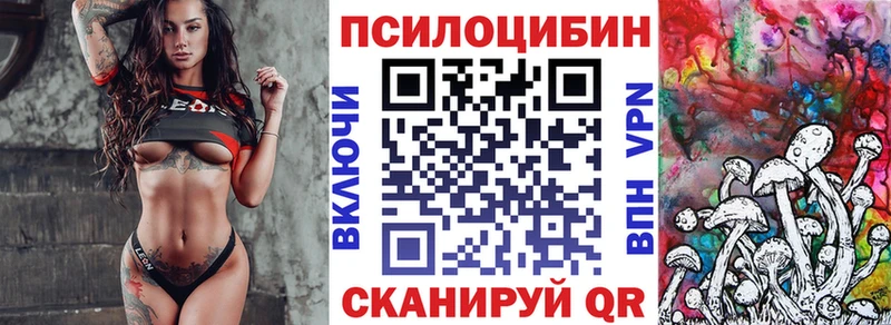 Псилоцибиновые грибы Psilocybine cubensis  наркотики  Боровск 
